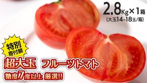 【 早期申込み限定 特別寄附額 】 超大玉 フルーツトマト 大箱 約2.8kg × 1箱 【14～18玉/1箱】 糖度7度 以上 野菜 フルーツ トマト とまと [AF008ci]