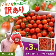 【訳あり】【先行予約】訳あり 赤いミニトマトの宝石箱 約3kg / たっぷり楽しむ食べ比べセット〈2026年11月下旬～2027年5月下旬まで〉 トマト とまと ミックス 詰め合わせ セット 野菜 料理 サラダ マリネ パスタ 浅漬け おやつ 弁当 甘味 酸味 新鮮 訳アリ 高知県 土佐市【ファーム輝】 [BQBM011]