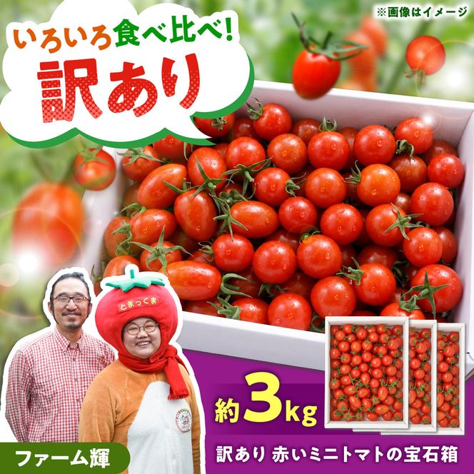 【訳あり】【先行予約】訳あり 赤いミニトマトの宝石箱 約3kg / たっぷり楽しむ食べ比べセット〈2026年11月下旬～2027年5月下旬まで〉 トマト とまと ミックス 詰め合わせ セット 野菜 料理 サラダ マリネ パスタ 浅漬け おやつ 弁当 甘味 酸味 新鮮 訳アリ 高知県 土佐市【ファーム輝】 [BQBM011]