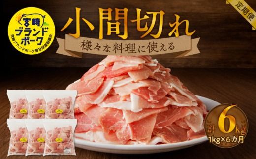 y{茧sz{uh|[NԐ؂6J N061-YD0200