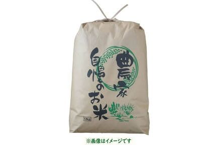 【令和6年産 新米予約】奥信濃飯山～木内ファームのお米～ 10kg (4-48) 