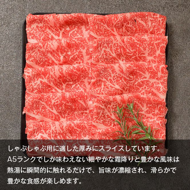 【A5ランク】淡路島産黒毛和牛 しゃぶしゃぶ用スライス 500g【神戸牛】