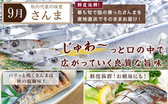 厚岸旬のふるさとセット 年6回お届け (牡蠣、毛蟹、生時しらず、しまえび、あさり、さんま、ほっき 等)