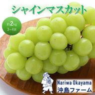 2026年 早期受付 ぶどう シャインマスカット 約2kg（3～4房）岡山県高梁市産 沖島ファーム 化粧箱入り 葡萄 ブドウ 贈答用