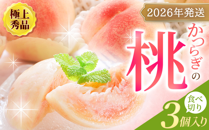 [先行予約][厳選]あふれる果汁で口いっぱい! 食べきりサイズ 和歌山県産 桃 3玉 [2026年6月末頃〜2026年8月末頃に順次発送予定](お届け日指定不可)/ 和歌山 桃 モモ フルーツ もも