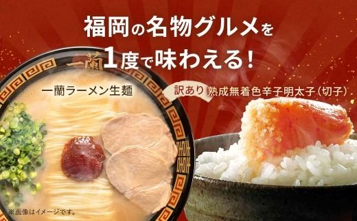 太宰府市が太鼓判！福岡うまかグルメセット 【 訳あり 】 やまや熟成無着色辛子明太子 （ 切子 ） 1kg × 一蘭ラーメン生麺6食 明太子 辛子明太子 辛子 めんたいこ めんたい ラーメン らーめん 拉麺 とんこつ 豚骨 一蘭 セット