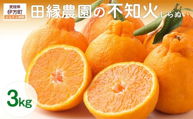 yQɕzys\zyʌzc_̕sm΁iʂj3kg ւ̔zs i2026N210菇j IKTA018