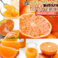 【定期便】厳選 柑橘定期便 S 6回（偶数月）※北海道・沖縄・離島への配送不可※偶数月に発送