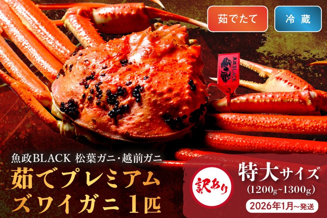 訳あり [蟹の匠 魚政]茹で プレミアムズワイガニ 魚政BLACK(松葉ガニ・越前ガニ) 特大サイズ(1200〜1300g) 1匹 (2026年1月〜発送)