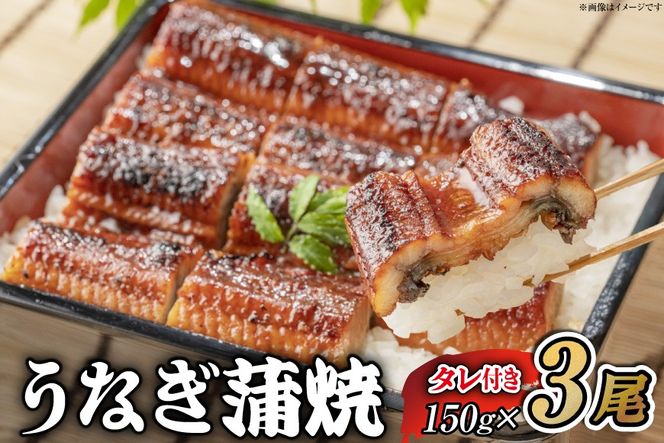うなぎ うなぎ蒲焼 150g×3尾 タレ 山椒 セット [むらた商会 静岡県 吉田町 22424740] 鰻 ウナギ 蒲焼き たれ 惣菜 おかず 鰻重 うな丼 鰻丼 うなぎ料理 鰻料理 冷凍