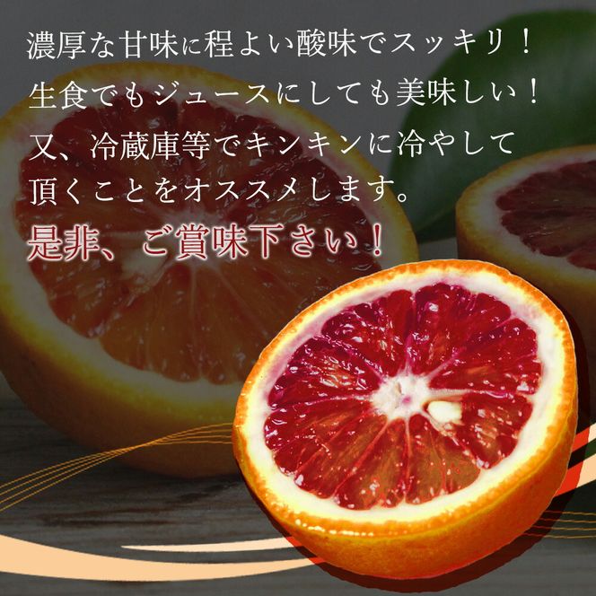 G7070_【2027年先行予約】希少な柑橘！ 紀州 有田産 ブラッドオレンジ 3kg 【訳あり・ご家庭用】