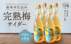 梅サイダー　250ml×４本　中棚温泉　長野　信州　小諸
