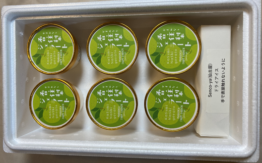 【香住梨ジェラート 100ml×6個】 梨 なし ナシ 果物 フルーツ ジェラート 二十世紀梨 手作り シャーベット ギフト セット 氷菓子 アイス 国産 兵庫県産 香美町産 香住産 日本海 山陰 果物 お中元 お歳暮 お祝い 贈り物 ふるさと納税 おすすめ 返礼品 senco-ya（仙古屋） 42-01
