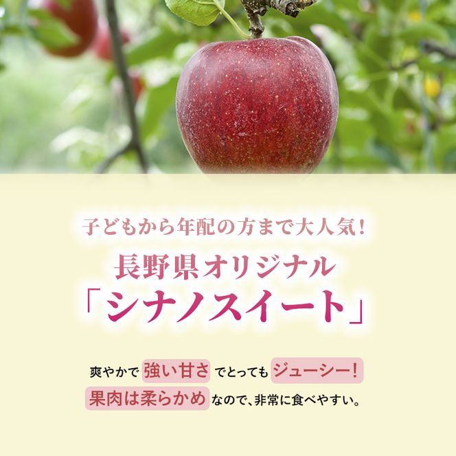 【2026年発送】志賀高原の麓で育った シナノスイート 秀16玉 約5kg りんご フルーツ 果物 デザート 長野県 長野