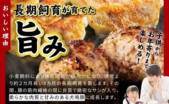 G5375 【期間限定】犬鳴豚餃子 100個 ハンバーグ 2個 セット【国産 豚肉 ぶたにく 犬鳴ポーク 焼くだけ 人気 総菜 冷凍】