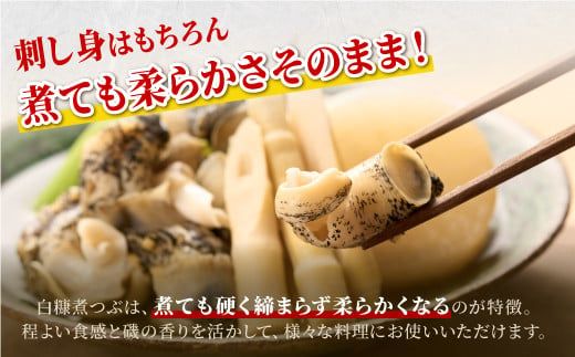 白糠煮つぶ とれたてくん 500g × 3個 つぶ貝 灯台つぶ 塩ゆで ふるさと納税 北海道 白糠町