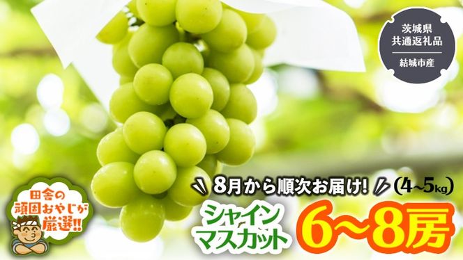 y錧΂݂炢szcɂ̊ł₶IIVC}XJbg͂ꂾ؃Zbg6`8[y2025N8甭Jnz i錧ʕԗi [Ԃǂ]FsY)  Mtg t[c ʕ Ԃǂ  [BI44-NT]