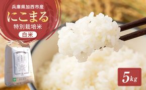 令和7年産 特別栽培米 にこまる 白米 5kg 精米 お米 こめ コメ ごはん ご飯 単一原料米