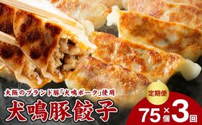 099Z554 【泉佐野ブランド豚】犬鳴豚餃子 75個×3回【国産 豚肉 ぶたにく 定期便 犬鳴ポーク 焼くだけ 人気 総菜 冷凍】