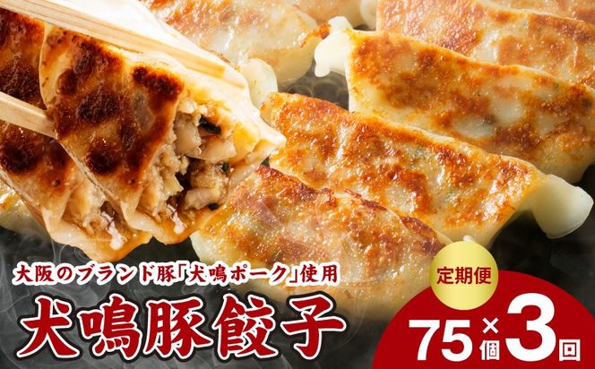 G5382 【泉佐野ブランド豚】犬鳴豚餃子 75個×3回【国産 豚肉 ぶたにく 定期便 犬鳴ポーク 焼くだけ 人気 総菜 冷凍】