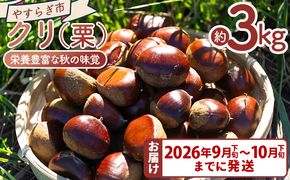 栄養豊富な秋の味覚 クリ（栗） 3袋（3kg）　yr-0104
