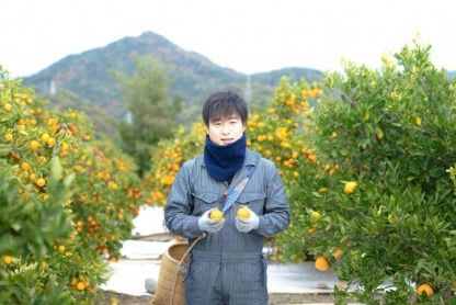 4月 まで 木成 完熟 させた 有田 はっさく 特秀 大玉 2L × 7玉 化粧箱 南泰園 みかん	BS748  