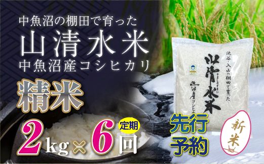 【令和8年産 先行予約】【定期便／全6回】精米2kg 新潟県魚沼産コシヒカリ「山清水米」