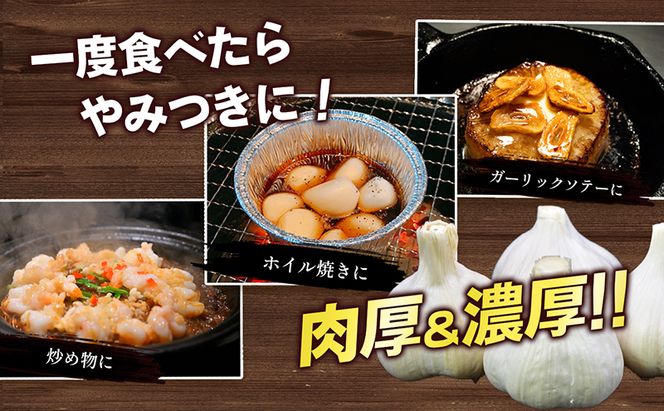 乾燥にんにく【ご家庭用】約10kg 野菜 野菜セット ニンニク 