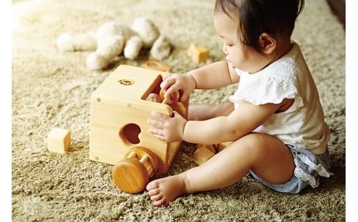 木のおもちゃ 初節句ギフトセット 雛人形 五月人形 木製 木 おもちゃ 知育玩具 赤ちゃん ベビー 男の子 女の子 ギフト プレゼント 贈り物 贈答 お祝い 出産祝い 誕生日祝い 節句 節句人形 日本製 手作り てづくり 受注生産品 山のくじら舎 ヒノキ 木箱 片づけ 習慣 御祝 ヒノキ スギ 高知県 安芸市