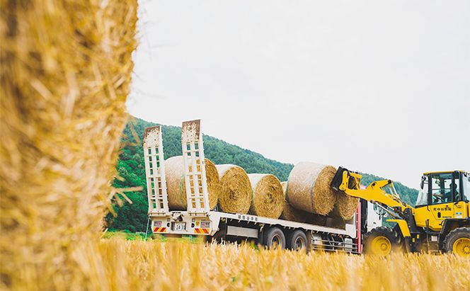ジャージーA2ミルクで作ったプリン8個　沖縄・離島不可　 お菓子 スイーツ 生菓子 洋菓子 おやつ デザート 食後 牛乳本来の味 冷蔵品 ジャージー牛乳 ジャージーミルク 