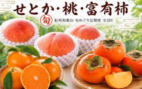 【全3回】紀州和歌山産旬のフルーツセット(せとか・桃・富有柿)  / 果物定期便 フルーツ定期便 セトカ 柑橘 くだもの 果物 カキ かき 柿 もも モモ 桃 【tkb392】