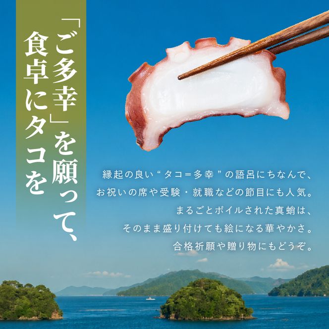 20-112 天然真蛸のボイル 1杯（冷蔵）三重県鳥羽で水揚げされた天然真蛸のボイル