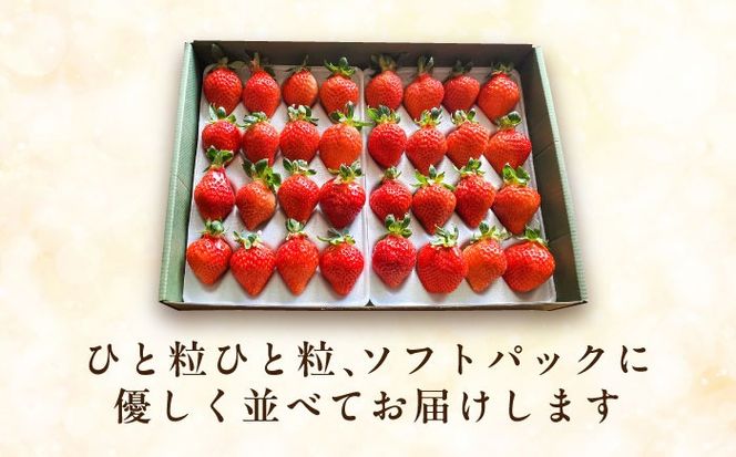 【化粧箱】あまおう いちご 600g以上 糸島市 / 株式会社フルコンス[ALO001]