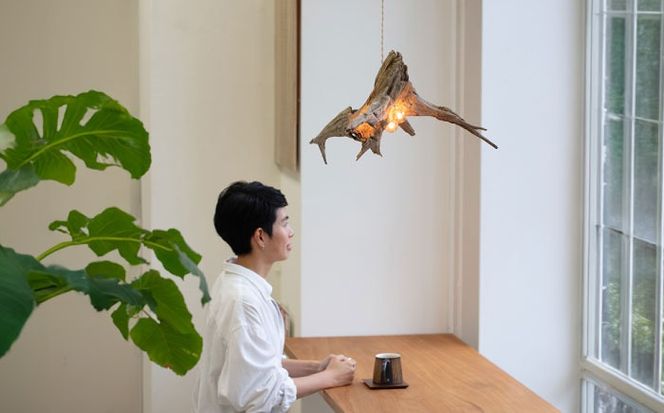 3Bulb Driftwood pendantlight ペンダントライド 糸島市 / WOOD'ARBRE(ウッドラヴル)【TIME】 インテリア 照明[ADC005] インテリア 照明 間接照明 ライト ペンダントライト 流木 暖色 ランプ 電気