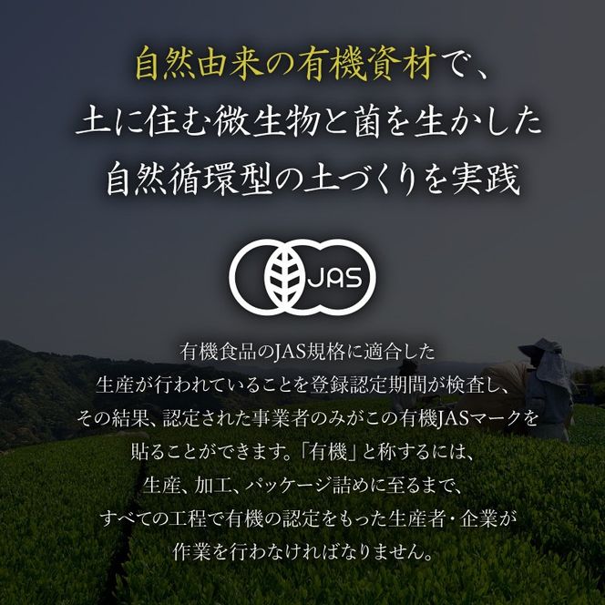 煎茶 ティーバッグ 6袋 セット 有機 オーガニック 岡部茶 お茶 静岡 茶葉 日本茶 静岡県 藤枝市[123593-X2]