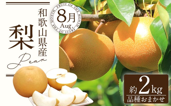 定期便全3回 【7月・8月・9月発送】 和歌山の夏のフルーツをお届け（桃・梨・シャインマスカット） ［TM224］ 303446_XH92275