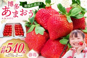 先行受付 博多あまおう 約270g×2 / エイチアンドフューチャーズ / 福岡県 筑紫野市 [21760413] 果物 フルーツ いちご イチゴ 苺 朝採り 新鮮