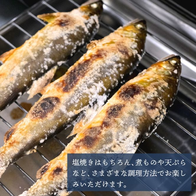 冷凍 美山川の天然鮎 5匹 | 魚 さかな 天然 鮎 川魚 料理 京都 南丹市