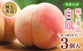 桃先行受付!　桃の王様【白鳳】　特秀品　食べきりやすい3個入り