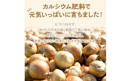 【予約：2024年9月中旬から順次発送】農家直送 村中さんちの玉ねぎ 5kg混玉 M～2Lサイズ ( タマネギ たまねぎ 玉葱 野菜 北海道産 詰合せ )【095-0020】