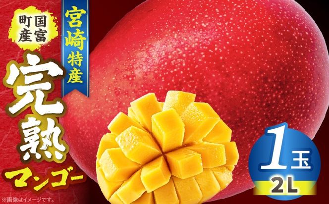 宮崎特産！国富町産の完熟マンゴー 1玉（2L）