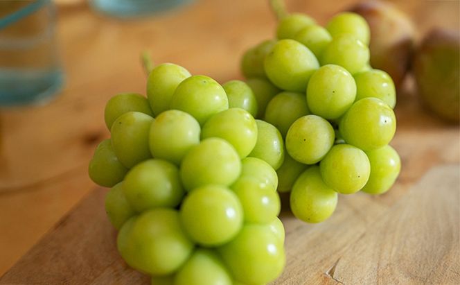 シャインマスカット 約 2kg (4～5房) 先行予約 ぶどう 種なし 果物 2026年 9月～発送