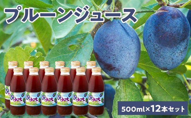 余市産 無添加 プルーン果汁100％ジュース 500ml×12本セット 鉄分 食物繊維 ポリフェノール 栄養豊富 濃厚_Y018-0075