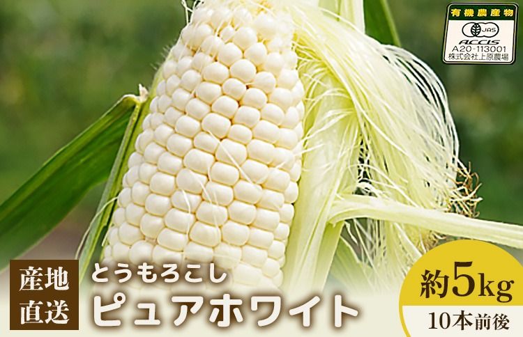 [先行予約]上原農場直送 有機栽培とうもろこし (ピュアホワイト) 約5kg 約10本前後[66016]