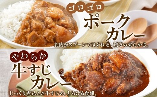 782. カレー 4種 食べ比べ 計12個  中辛 スープカレー ビーフカレー ポークカレー 牛すじカレー じゃがいも 牛 牛肉 豚肉 肉 鳥 鶏 業務用 レトルトカレー 保存食 備蓄 まとめ買い 北海道 弟子屈町 