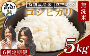 【6回定期便】令和8年産 高知県香南市産 特別栽培米 コシヒカリ 5kg - 国産 米 お米 こしひかり 白米 どうぞ ごはん おにぎり ご飯 防災 非常食 備蓄 kome 高知県 香南市 常温 Wnu-0015