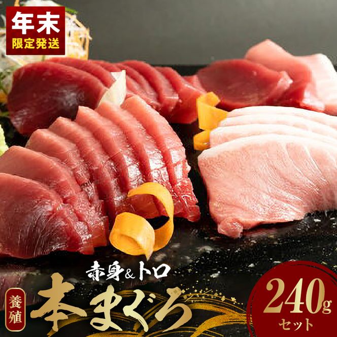 【年末発送】本マグロ (養殖) 赤身 ＆ トロ セット 240g_AZ6014n_nm