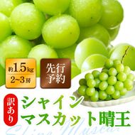 訳あり シャインマスカット 晴王 2～3房 合計1.5kg以上 ぶどう 葡萄 シャイン マスカット 岡山 岡山県産 桃太郎御一行 2026年 先行予約