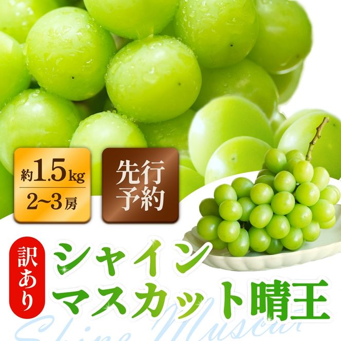 訳あり シャインマスカット 晴王 2～3房 合計1.5kg以上 ぶどう 葡萄 シャイン マスカット 岡山 岡山県産 桃太郎御一行 2026年 先行予約