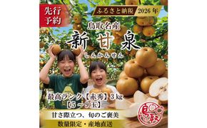 三ツ田農園 新甘泉(赤秀)3kg【8月中旬以降お届け】 313726_CY011